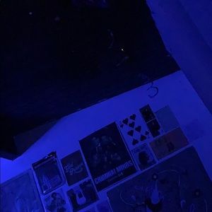 Meet your Posher, Eloisa